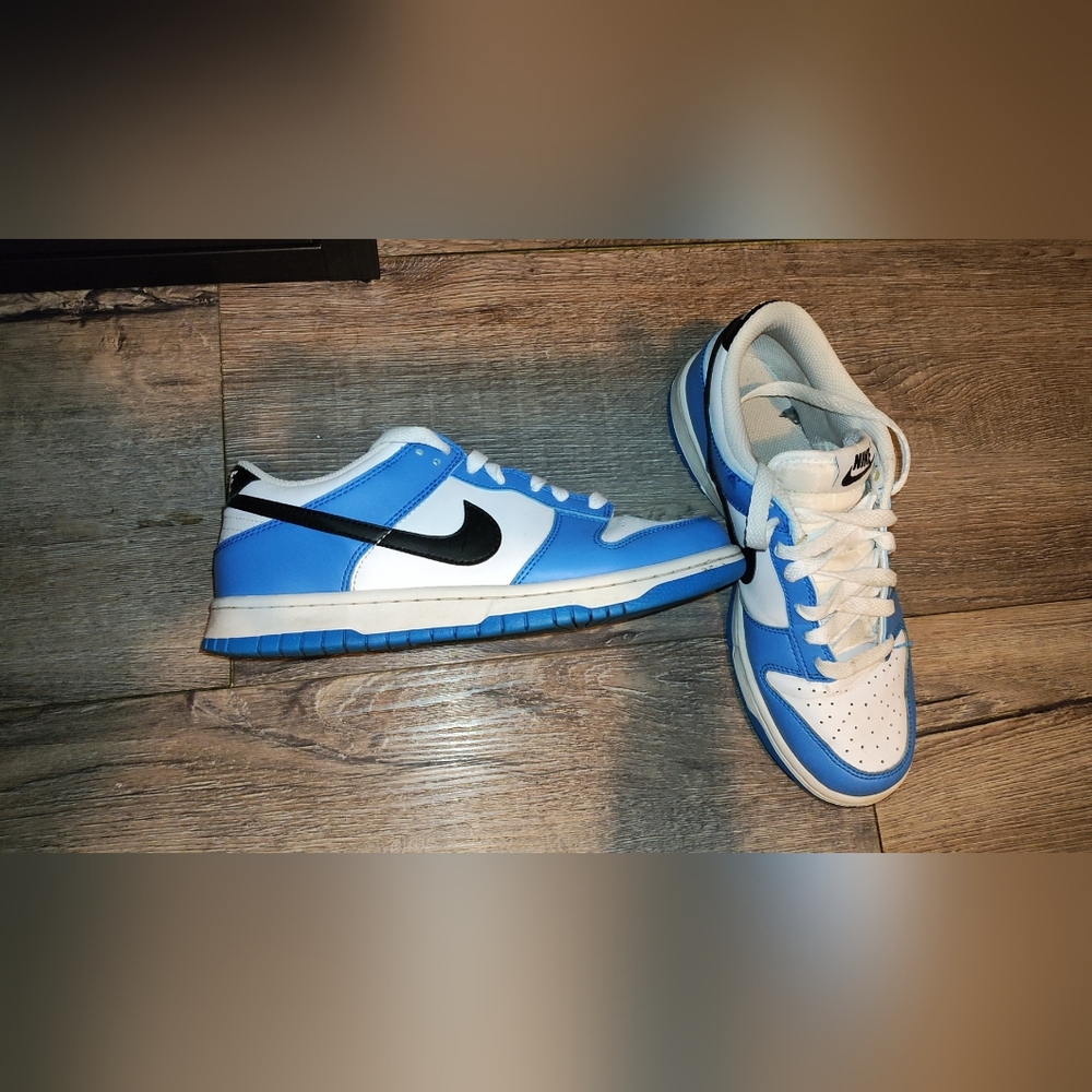 Nike dunks